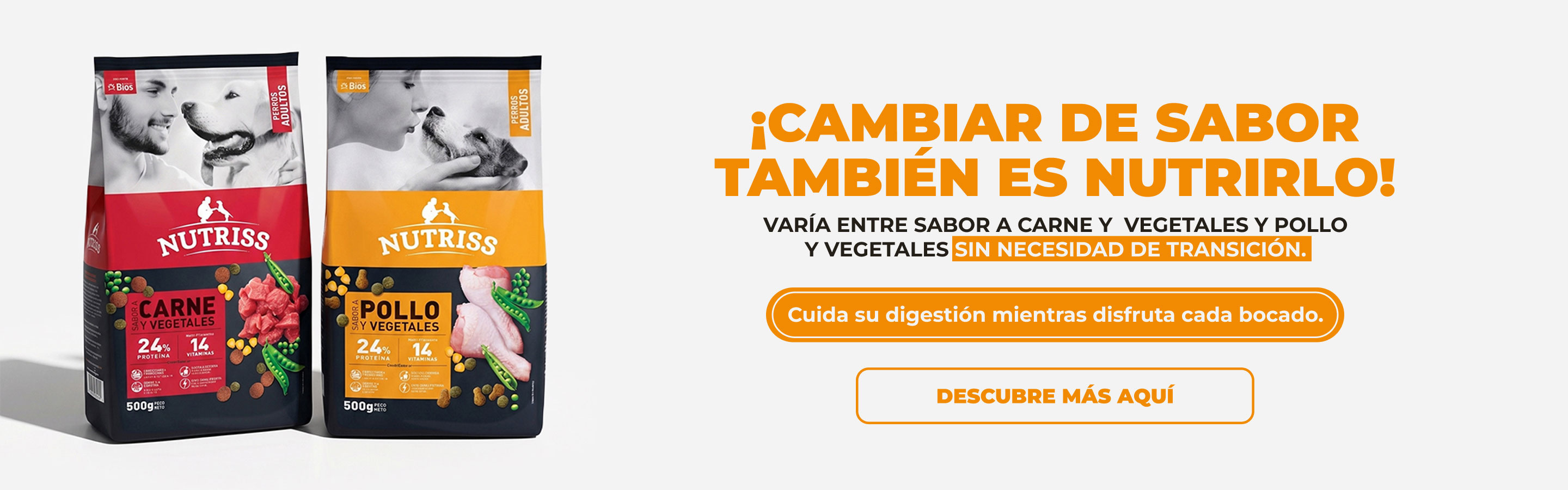 Banner: NG Home Julio Sabores Dog